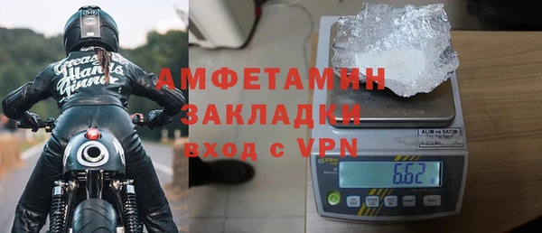 гидра Елизово