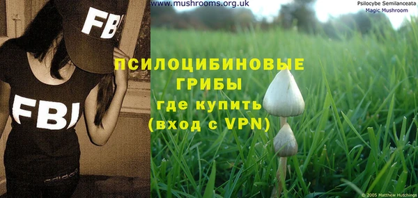 гидра Елизово