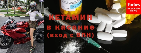гидра Елизово