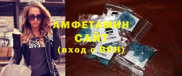 гидра Елизово