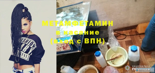 гидра Елизово