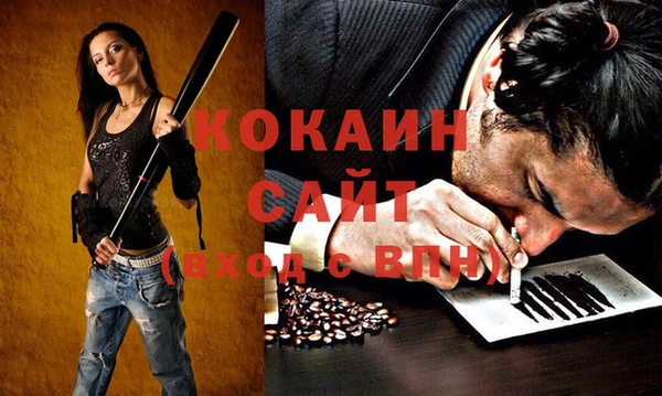 гидра Елизово