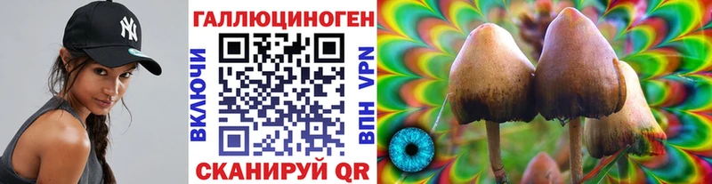 Купить закладки  Зубцов  Псилоцибиновые грибы мухоморы 